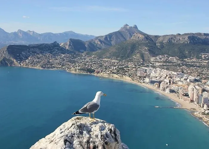 Senieta - Plusholidays * 칼페